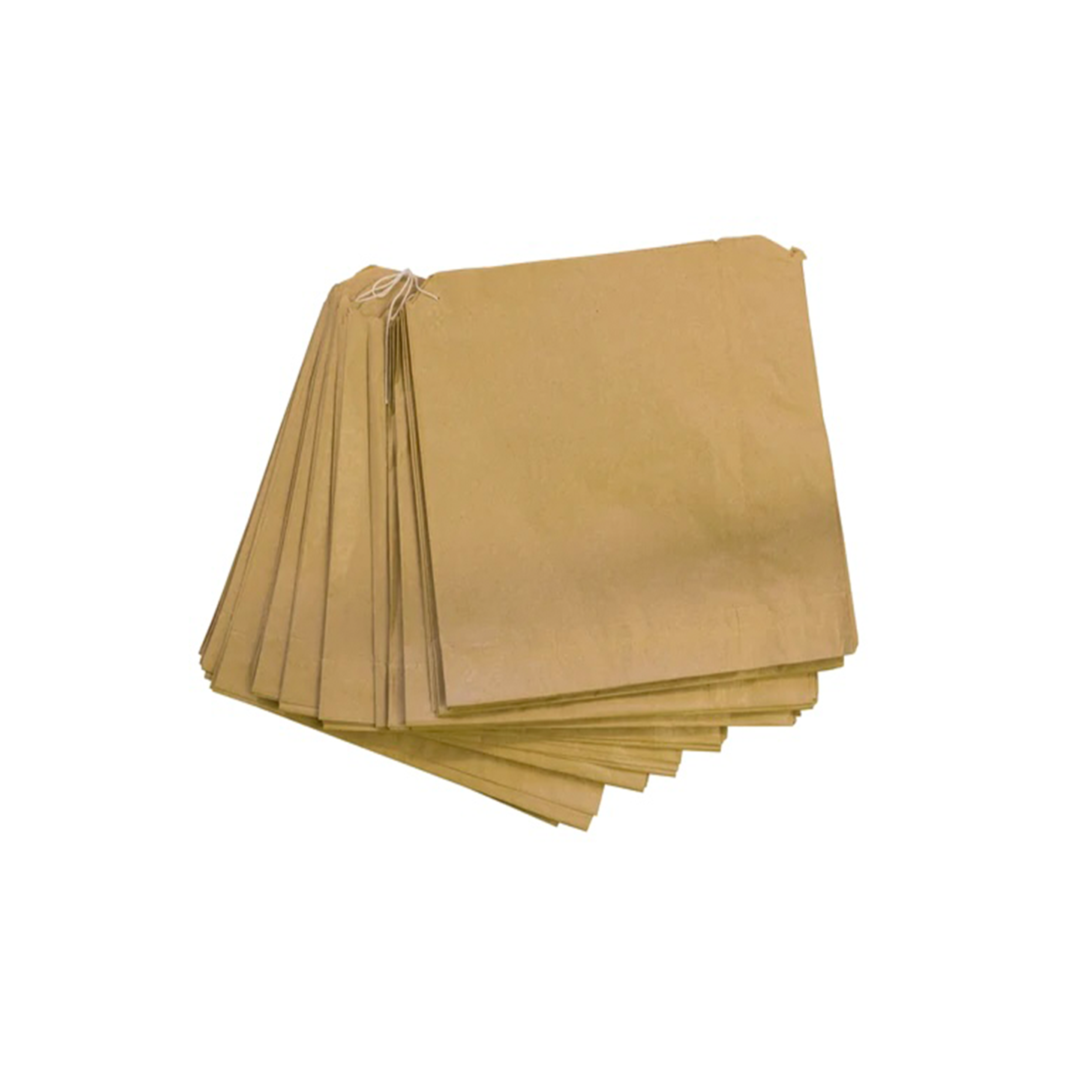 Brown Paper Shopping Bag transparent PNG - StickPNG